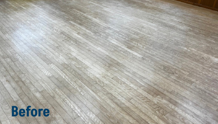 Photo after playing with Lightroom presets