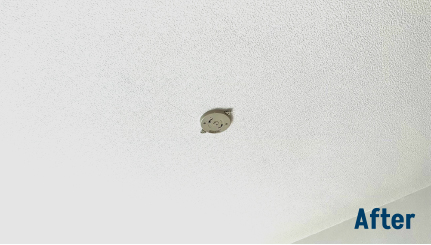 Unprocessed original photo