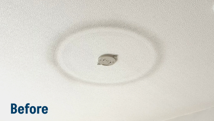 Photo after playing with Lightroom presets