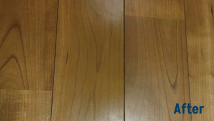 Unprocessed original photo