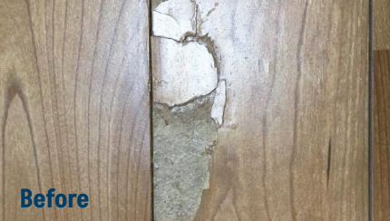 Photo after playing with Lightroom presets